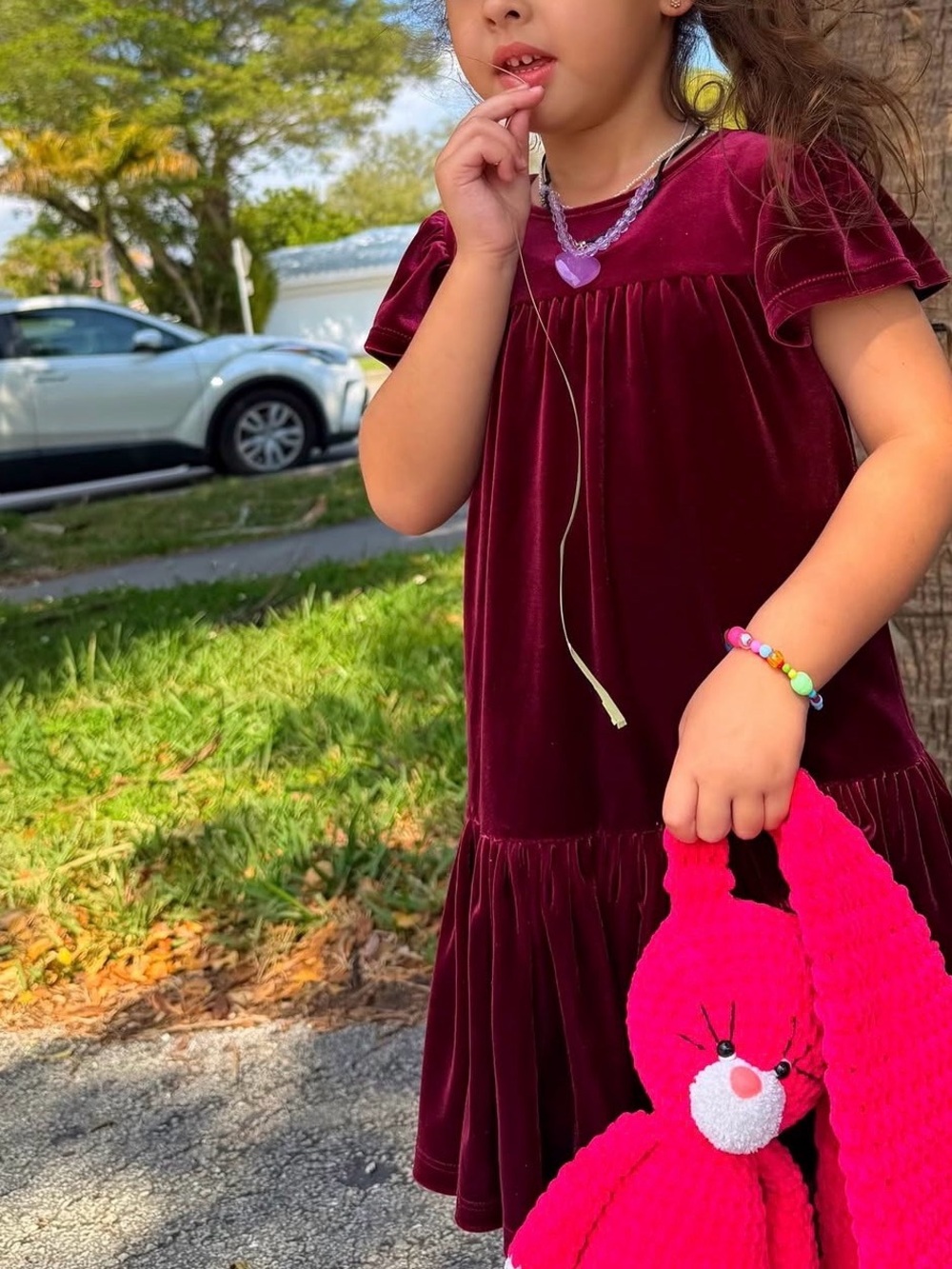 Cat & Jack Burgundy Velvet Girls' Ruffle Hem Dress